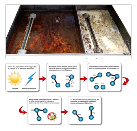 cnc machine coolant bacteria|How to kill bacteria in CNC Coolant Tan.